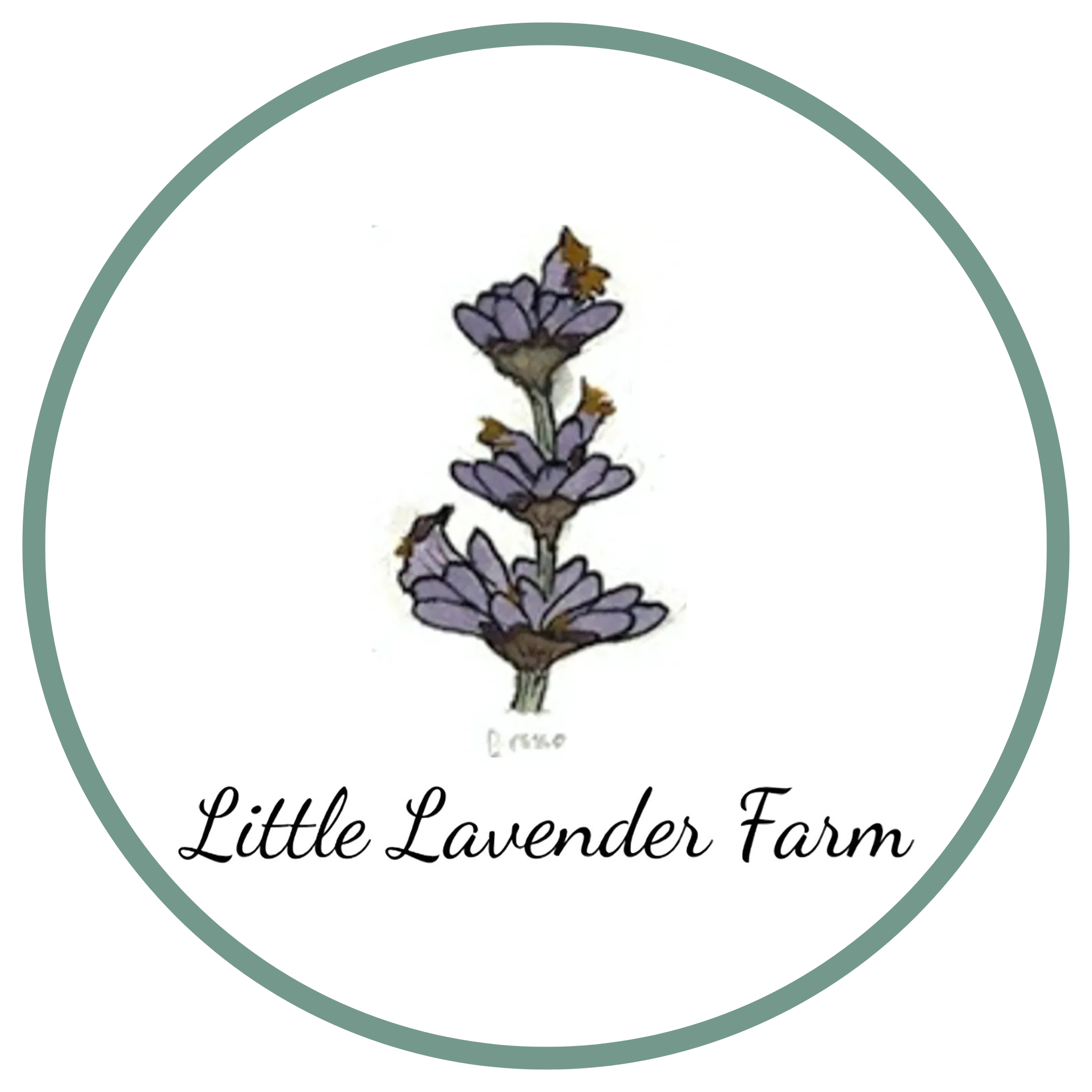 Lavender Farm